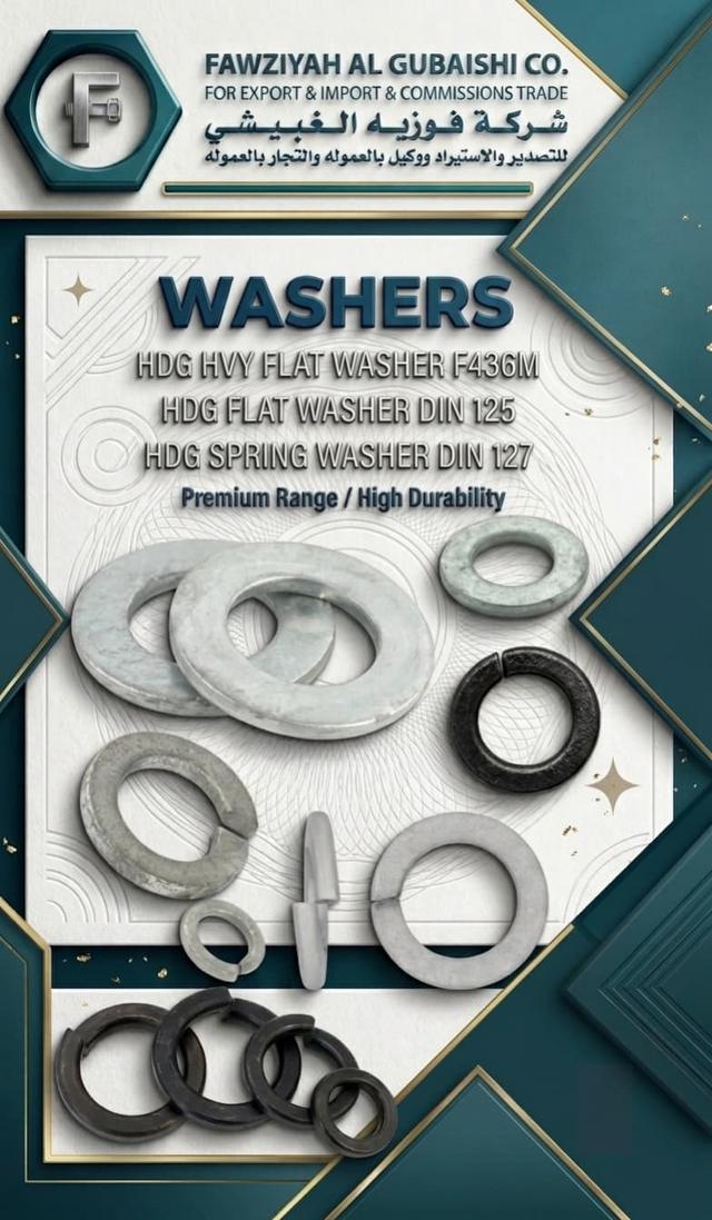 Washers: HDG flat and spring washers